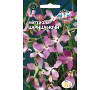 Семена СеДек Маттиола Царица ночи 00000014209