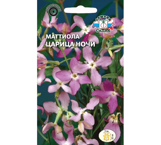 Семена СеДек Маттиола Царица ночи 00000014209