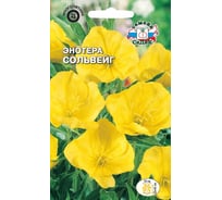 Семена СеДек Энотера Сольвейг 00000015823