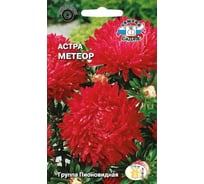Семена СеДек Астра Метеор 00000015397