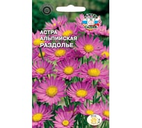 Семена СеДек Астра Раздолье 00000017080