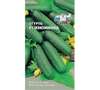 Семена СеДек Огурец Изюминка 00000014694