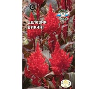 Семена СеДек Целозия Викинг 00000014913