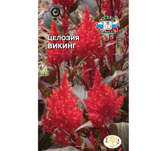 Семена СеДек Целозия Викинг 00000014913