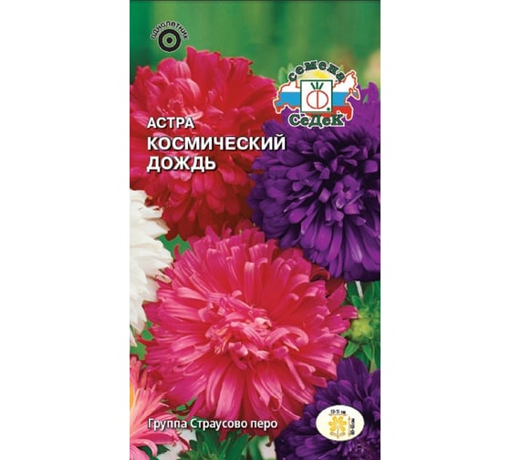 Семена СеДек Астра Космический дождь 00000015937 1