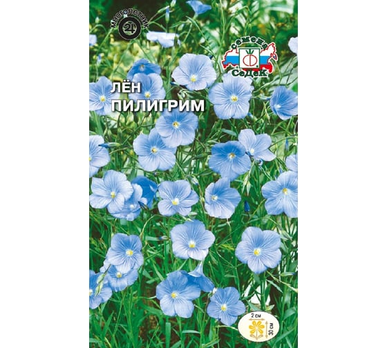 Семена СеДек Лен Пилигрим 00000013529 1