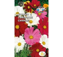 Семена СеДек Космея Северное сияние 00000014440