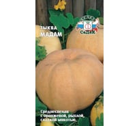 Семена СеДек тыква Мадам 00000013672