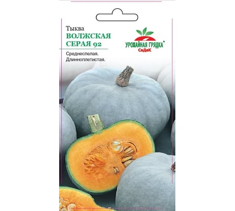 Семена СеДек тыква Волжская серая 92 00000016476