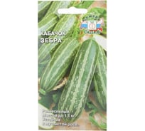 Семена СеДек Кабачок Зебра 00000015879