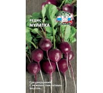 Семена СеДек редис Мулатка 00000015591