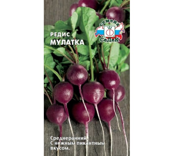 Семена СеДек редис Мулатка 00000015591 1