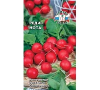 Семена СеДек редис Нота 00000014850