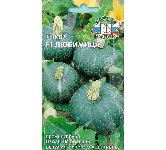 Семена СеДек тыква Любимица 00000002040 1
