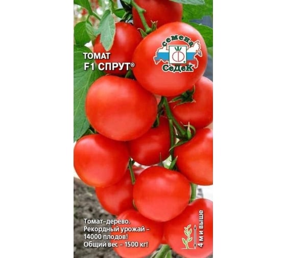 Семена СеДек Томат Спрут 00000002026 1