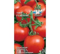 Семена СеДек Томат Нептун 00000014263