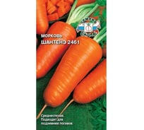 Семена СеДек морковь Шантенэ 2461 00000015923