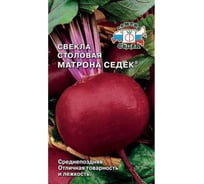 Семена СеДек свёкла Матрона 00000015683