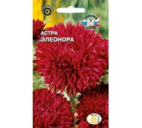 Семена СеДек Астра Элеонора 00000014004