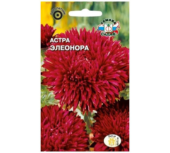 Семена СеДек Астра Элеонора 00000014004