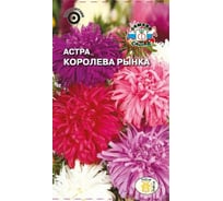 Семена СеДек Астра Королева рынка 00000015736