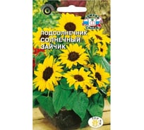 Семена СеДек Подсолнечник Солнечный зайчик 00000013606