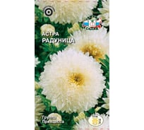 Семена СеДек Астра Радуница 00000013875