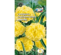 Семена СеДек Гвоздика Мария 00000014949
