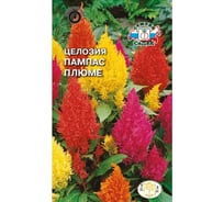 Семена СеДек Целозия Пампас Плюме 00000013754