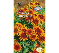 Семена СеДек Рудбекия Капуччино 00000015172
