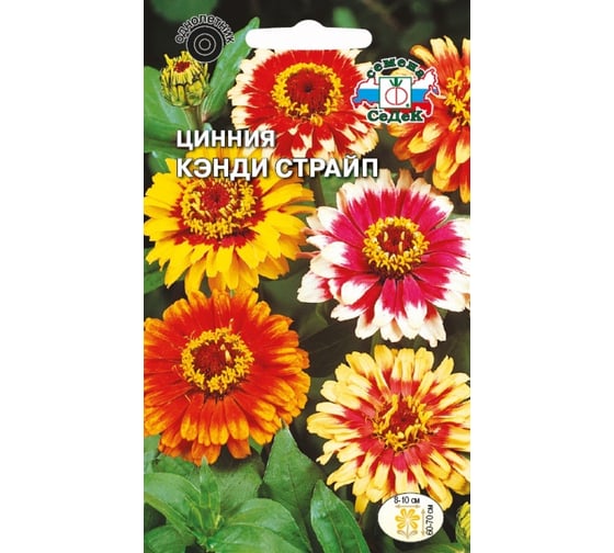 Семена СеДек Цинния Кэнди Страйп 00000014381