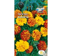 Семена СеДек Тагетес Бонита 00000013712