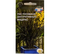 Семена СеДек Рис Мадрас 00000014371
