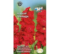 Семена СеДек Левкой маттиола Гранада 00000015008