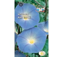 Семена СеДек Ипомея Ангелок 00000014338