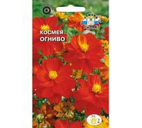 Семена СеДек Космея Огниво 00000014926