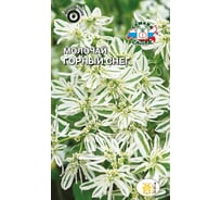 Семена СеДек Молочай Горный снег 00000014368