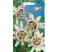Семена СеДек Пассифлора Кассиопея 00000016035
