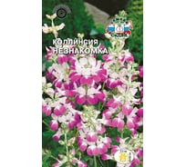 Семена СеДек Коллинсия Незнакомка 00000015832