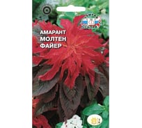 Семена СеДек Амарант Молтен файер 00000015068