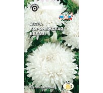 Семена СеДек Астра Воронежская белая 00000015951
