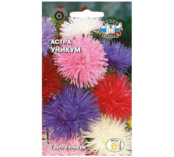Семена СеДек Астра Уникум 00000013938 1
