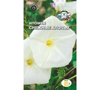 Семена СеДек Ипомея Снежные хлопья 00000014976