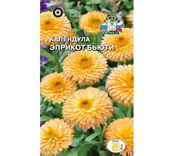 Семена СеДек Календула Эприкот Бьюти 00000014740 1