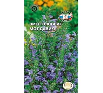 Семена СеДек Змееголовник Молдавия 00000014959
