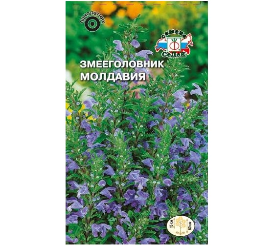 Семена СеДек Змееголовник Молдавия 00000014959