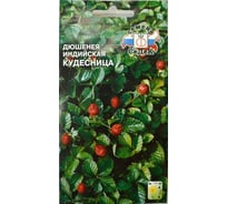 Семена СеДек Дюшенея Кудесница 00000014458