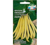 Семена СеДек Фасоль овощная Мечта Хозяйки 00000017040