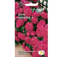 Семена СеДек Астра Искорка 00000013809