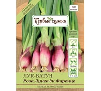 Семена Первые семена Лук-батун Роза Лунга ди Фиренце красный 020148-1Семена
